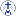 The Congregation of the Sisters of Our Lady of Mercy