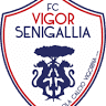 Unione Sportiva Vigor Senigallia