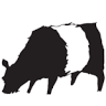Galloways Wine Shop & Bar