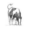 Fen Farm Dairy