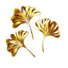 Feng Shui Gold Coast