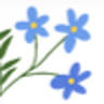 Fenwick Floral & Garden