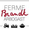 Ferme Brandt Arbogast Morsbronn
