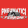 Pneumatici Ferroni