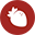 FerryFast Logistics