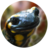 Přírodní památka Sedlecké skály