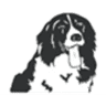Fairview Heights Animal Clinic