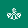 FSC Rhyd-y-creuau