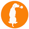 Figaro Animal Clinic
