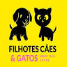 Filhotes Embu