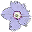 kruidenatelier Filiamosa