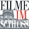Movies in the castle