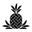 Findlay Rowe Designs Gift Shop & Boutique
