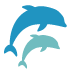 First Coast Pediatrics