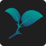 First Coast Tea Co.