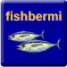fishbermi Charters