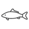 Fishing Gear Shop