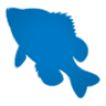 North Florida Fishing Charters-Jacksonville Fishing Charters