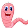 Jan Juc Fishing Worms