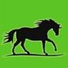 FIT PAARD
