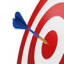 Flakkeese Dart Federatie