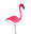 Flame and Flamingo