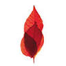 Flametree Wines
