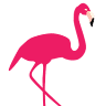 Flamingo Bowl
