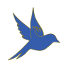 Fledge Institute of Aviation & Hospitality - MYFLEDGE Raipur