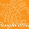 Flenghi Divise Di Flenghi Gianfranco & C. S.N.C