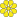 Fleur Holland Blumen