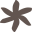 Fleur de café