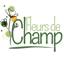 Fleurs de Champ