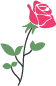 Fleurs du maroc