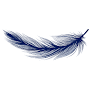 Flexidream
