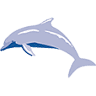 Flipper Watersport