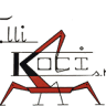 F.lli Koci srl - Ristrutturazioni e Noleggio Piattaforme