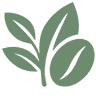 F. L. Michaelis GmbH
