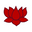 Floating Lotus Rockport