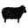 Flokati Wool Rugs - FlokatiRugs.com.au (Online Only)