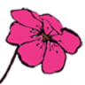 Floralbay
