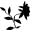 Floral Petals of Westchester (Bedford Hills Flowers)