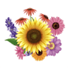 florAnik ferme florale