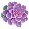 Flor Bella Designs