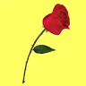 Florence Flowers and Gifts Shop (www.florenceblooms.com)