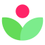 FloreriaSuspiros.Com