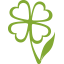 Todo Verde