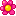 Flores Barranquilla