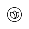 FLORES DE ALTURA
