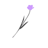 Floristería La Violeta by Lolin Benimaclet